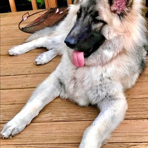 Meet your Posher, Tia